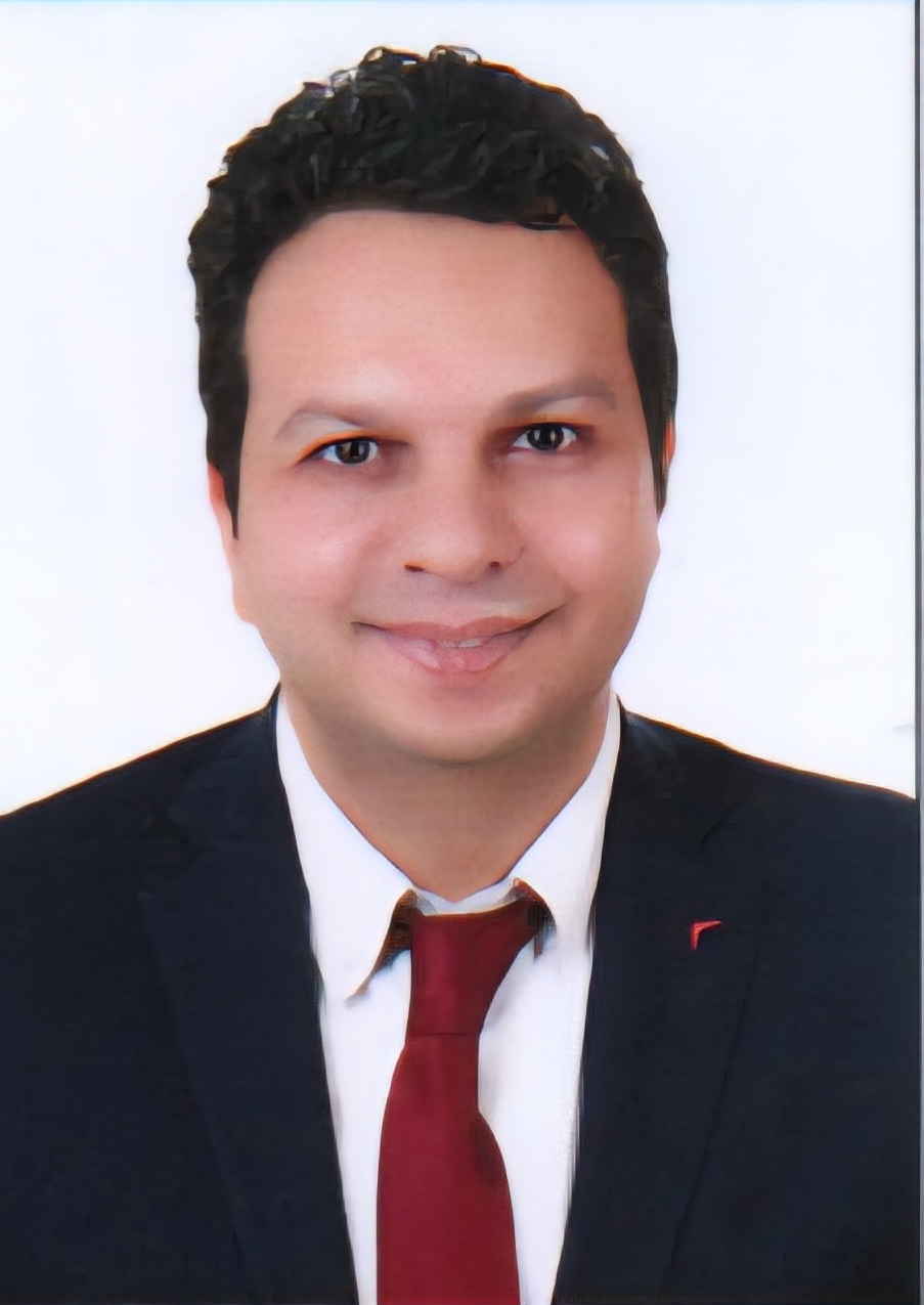 Medhat Mohamed Mustafa - CEO